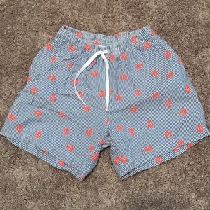 Men’s Chubbies Seersucker Bathing Suit